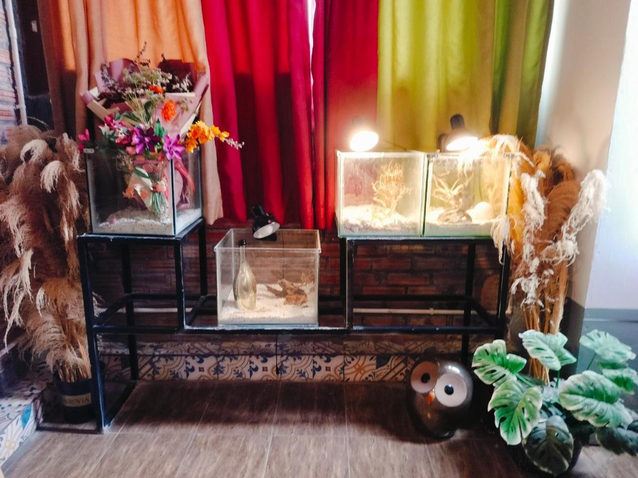 Cozy Fun Homestay 16 Hanoi Exteriör bild
